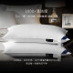 Kangersin Pillow Hilton 100s five-star hotel down pillow type A 95% white goose down pillow single 74*48cm