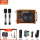 MIGAO MG-T3 outdoor charging erhu saxophone electric wind instrument audio guitar playing and singing internal recording live broadcast speaker package 2 audio + 2 U-segment microphones + bag + stand