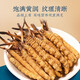 Luzhangtang Tibetan Qu Premium Cordyceps 1 gram Pack of Broken Cordyceps Broken Grass Cordyceps Cooked 1 gram Pack of Bought 1 gram Pack of Self-Selectable. Nagqu, Tibet High-altitude Wild (Whole Meat Cordyceps) 1 gram Pack of