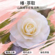 丝蕴（syoss）山茶油滋养修护洗护发套装(洗680ml+润680ml)强韧修复受损洗发水
