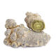 Jingqingyuan, Yunnan Wenshan Chun Sanqi Sélection, Sanqi Head, classe extra classe authentique Tianqi authentique Chunqi 20 têtes, 30 têtes, 10 têtes (8 têtes, 500g) Sanqi King Sélection, envoyez le tout (veuillez laisser un message si vous avez besoin de faire de la poudre et de le trancher)