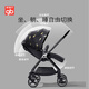 Bon enfant (GB) Swan Golden Feather Swan High Landscape GB826 Fibre en fibre de carbone Bidaal Way Way Babil