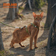 ZOOLAND cat traction rope to prevent break-away, walk large and small kittens, good-looking, lengthened, adjustable I-shaped chest and back, red tea orange L-recommended 5-16 Jin Jin equals 0.5 kg