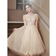 SAIDELE champagne color evening dress 2025 new adult gift small birthday party light luxury niche high-end art exam skirt for women champagne color medium length XL (recommended 116-125 Jin [Jin equals 0.5 kg])
