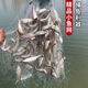 Yu Xige Fish Net Sticky Fish Net Small White Strip Net Hanging Net Sinking Net Fish Sticking Three Layers Single Layer Fishing Net Sticky Fish Net Horse Mouth Wheat Net Single Layer 1 Meter High 1 Finger 25 Meters Long Floating Net