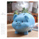 Jian Yue piggy bank can only go in and out, children and adults oversized creative banknote piggy bank and piggy bank are cute cartoon pigs 10 inches small blue can only go in and out.