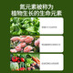Basemanwei Urea Nitrogen Fertilizer Flowers, Vegetables and Fruit Trees Potted Planting Cauliflower Household Potted General Fertilizer Chemical Fertilizer Compound Fertilizer Urea (Nitrogen Fertilizer) 5Jin Jin is equal to 0.5 kg
