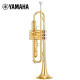 YAMAHA YTR-S1 Brass B-flat Small Title Adult Children Beginners Grading Examination Professional Performance Bb Tune