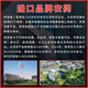 拜耳普力克 霜霉威盐酸盐 黄瓜辣椒霜霉病疫病猝倒病进口农药杀菌剂 普力克722/霜霉威盐酸盐20毫升