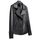 Zongchun Genuine Leather Jacket Women's Short Genuine Leather Jacket Spring and Autumn New Korean Style Versatile Lambskin Jacket Short Slim Motorcycle Jacket Black 3XL