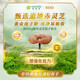 Amway Nutrilite Ganoderma Spore Powder Amway Nutrilite Broken Wall Ganoderma Spore Powder Official Website Genuine Gift Preferred 1 Box 120g (60 pieces) + exquisite gift bag
