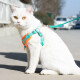 Mr. Meow cat leash, pet cat and dog leash, anti-breakaway dog ​​leash, vest-type cat leash, outdoor dog leash, lake blue S size (recommended 4Jin [Jin equals 0.5kg]-6Jin [Jin equals 0.5kg])