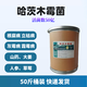 2 billion Trichoderma harzianum microbial fertilizer for ginseng to prevent root rot, gray mold, powdery mildew, dead seedlings and rotten roots 5 billion content 50Jin Jin equals 0.5kg barreled