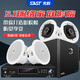 先科（SAST）吸顶式8.1家庭影院音响套装电视机家用客厅吊顶音箱3d环绕立体声嵌入式重低音功放套装蓝牙KTV 4.1（丝膜高音音响4个+低音炮+5.1功放机）