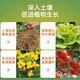 Yuntianhua Phosphate Fertilizer Granules Superphosphate General Flowering Fertilizer Household Fruit Tree Vegetable Green Plant Compound Fertilizer 100 Jin Jin equals 0.5 kg Phosphate fertilizer (high concentration) 3 Jin Jin equals 0.5 kg
