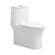 Toilet customized pit distance 100/130/150/180/200/220/250/300/400/450/500/550 100 pit distance other/other