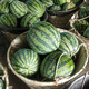 Shouhe crunchy type 8424 watermelon seeds, early mature, thin-skinned, summer and autumn seeds, 8424 watermelon seeds, 40 seeds + 20 seedlings