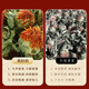 
Beijing Tongrentang Tibetan saffron Chinese medicinal materials 500g new product dried saffron fruits soaked in water and brewed tea red flowers 500g selected saffron fruits [new flowers]
