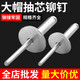 Baolian large hat rivets aluminum round head large hat brim rivets core blind rivets large flat head automotive rivets large head rivets large hat rivets 5*20 (50 pieces)