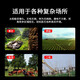 
Network Eye 4g Free Traffic Solar Camera Outdoor No Power and No Grid Rural Outdoor Mobile Remote HD Wireless Monitor 360 Degree No Dead Angle With Night Vision Panoramic Full Color 4G Free Traffic [Dual Screen Dual Playback + No Recharge Needed] + 64G Memory Card