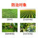 Guoguang Diai 30% Hymexamin flower rose green plant withered root rot pesticide fungicide