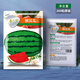 Long-cultivation lazy man watermelon seeds extra large seedless 8424 watermelon seedlings super sweet southern unicorn watermelon fruit and vegetable seeds lazy man watermelon seeds 200 hybrids