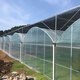 Nongyumeng greenhouse film agricultural white plastic sheet thickened thermal insulation waterproof anti-aging transparent non-drip film 2 meters wide (6S) 1 meter long