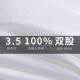 啄木鸟纯棉DP成衣免烫白色衬衫男士短袖夏季新款商务正装职业工装蓝衬衣 短袖3913白色 40建议140-149斤