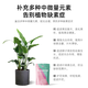 Shidijia agricultural granular calcium magnesium boron zinc iron chelated trace element water-soluble fertilizer apple tree vegetable anti-cracking foliar fertilizer calcium magnesium boron zinc iron 1kg*1 bag