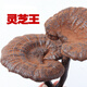 健颐年胖东来品质野生黑灵芝500克 广西十万大山整枝灵芝含孢子粉煲汤 250克