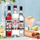
Macchik Beverage Base Wine Set Cocktail Base Whiskey Tequila Brandy Vodka Rum Original Bottle Imported Lychee Cocktail Set 700mL 3 Bottles