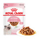 Canin royal royal chat aliment adulte chat chaton plats humides repas sac doux sac de base de plats en conserve chat prix de chat