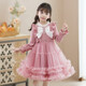 Anneyol girls dress spring and autumn skirt 2025 new children's style autumn dress little girl dress red princess dress pink velvet 120