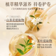 Beishenjian Camellia Tea Extract Amino Acid Elastin 750ml Curly Hair Styling Curl Special Fluffy Free Wash Donglai Hot Sale