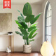 Weiou simulated green plants, high-end light luxury living room, fake plants, indoor potted plants, large decorative ornaments, bird of paradise simulated flowers, 1.4 meters bird of paradise<+white round bottom flowerpot&g