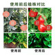 Compound fertilizer urea phosphate fertilizer potassium fertilizer flower fertilizer flower potted vegetables and fruit tree fertilizer universal nitrogen, phosphorus and potassium general upgraded formula compound fertilizer 10Jin Jin equal to 0.5kg