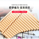风律 16管18管学生教学专用排箫初学者儿童入门C调 18管排笛(超多)+初学吹管