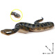 Oenux children's toys simulated snake wild animal model ornaments figures crawling snake pranks python glasses rattlesnake M-681 green anaconda overall is a small model (size and size to see the picture Specifications)
