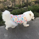 宠物大狗衣服中大型犬透气防掉毛防晒网纱萨摩金毛夏季薄款背心裙 爱心小兔(不退不换) 110码(胸围9756-70斤左右)