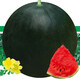 Beishu Black Watermelon Seeds Red Heart Fruit Yuqilin Black Watermelon Seeds 10 capsules