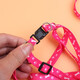 Tiannuo Pet Products Cat and Dog Leash Teddy Pomeranian Small Dog Cat Dog Rope Puppy Dog Walking Rope Dog Chain Strap Random Color Small Rope Width 1cm (2-6Jin Jin is equal to 0.5kg)