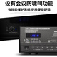 depusheng DS2000 KTV功放大功率一键防啸叫蓝牙USB带混响专业效果芯片舞台家用家庭卡拉OK功放机