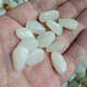 Jixiangge White Jade DIY Bracelet Necklace Accessories for Men and Women Xinjiang Hotan Jade Seed Raw Stone Irregular Skinned Loose Beads Skinned (Beads Length Approximately 12-16mm)/Single