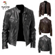 Woodpecker (TUCANO) 2026 Men's Leather Jacket Men's Teen Stand Collar Punk Men's Motorcycle Leather Jacket Plus Brown M