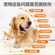 Puante Pet Dog Medicinal Bath Malasebacterium Black Chin Fungal Skin Disease Seborrheic Dermatitis Shower Gel Bartodin + Banov Shower Gel + Ointment