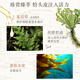 植物语录精油深层修护洗发露80ml瓶装白松露南极冰藻