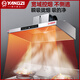 
Yangtze range hood catering kitchen large suction range hood stainless steel commercial purifier oil suction machine smoke exhaust hood 0.8 1.0*0.6*0.47 meters single fan model 12801