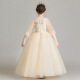 Yu Zhisheng (YUZHISHENG) girls dress girl host evening dress flower girl princess dress tutu children catwalk piano performance dress champagne color 150cm