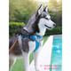 TRUELOVE Dog Harness Vest Type Explosion-Proof Small, Medium and Large Dogs Teddy Corkin Fur Pet I-shaped Vest Black and Green - Sandwich Lining M - Bust 40-62cm Recommended 12-30 Jin Jin equals 0.5 kg Select