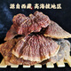 【送货上门】野生灵芝西藏干货林芝赤灵芝非孢子粉片整枝野生500克礼盒装 灵芝1斤+30年以上桑黄700克以上